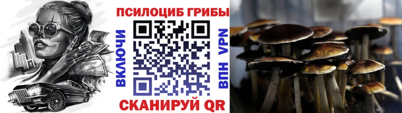 Псилоцибиновые грибы Magic Shrooms  Купить  Сердобск 